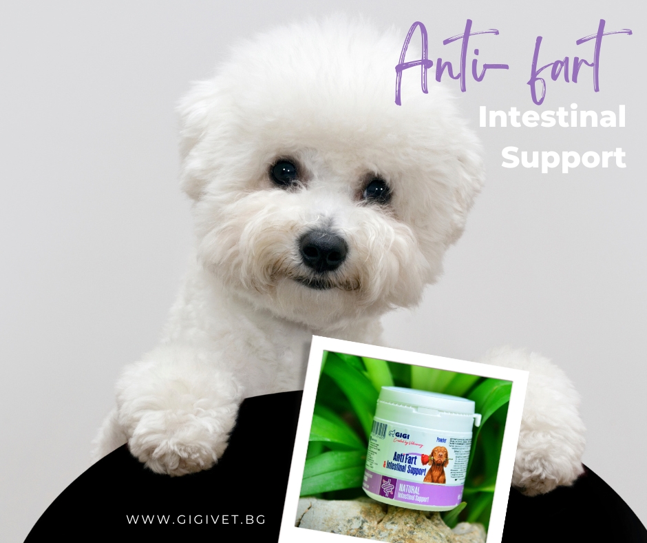 Anti- Fart Intestinal Support
