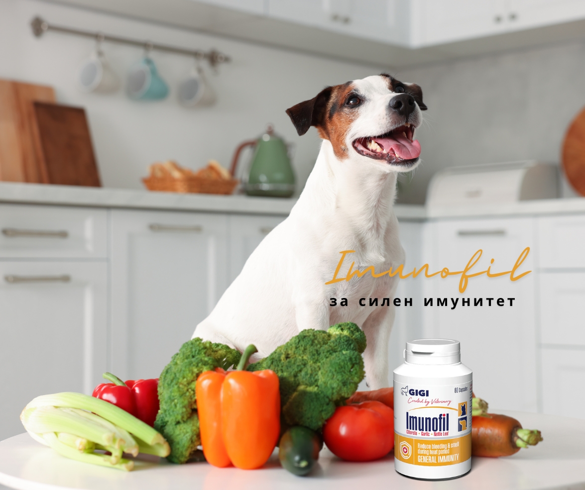 Imunofil