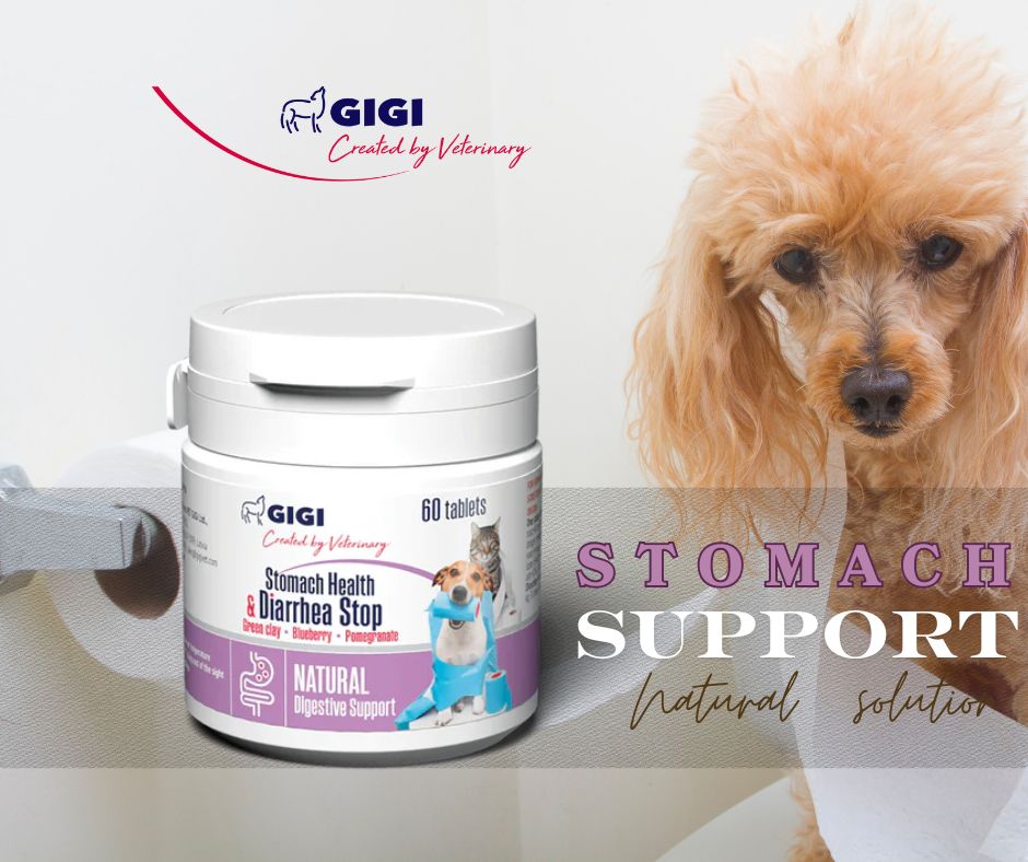 Stomach Support & Diarrhea Stop
