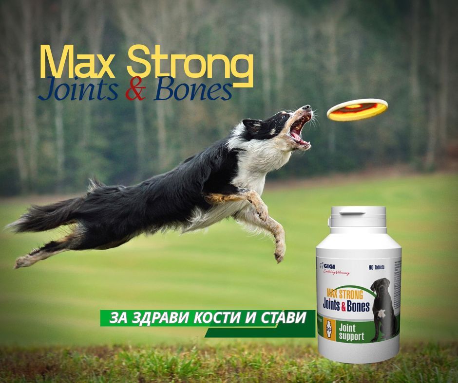 Max Strong Joints & Bones