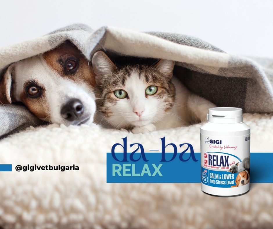 DA-BA RELAX