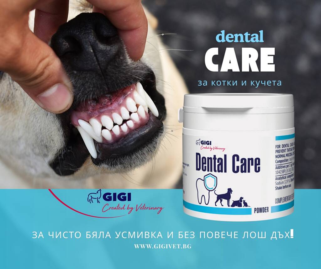 Dental Care Vet