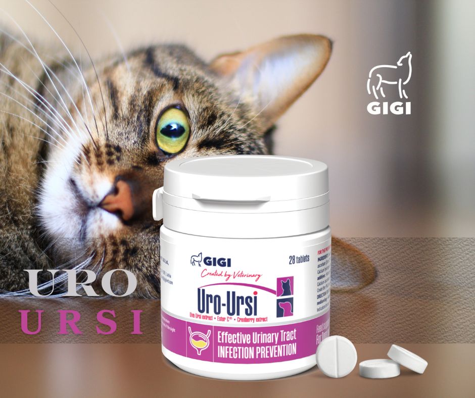 Uro Ursi