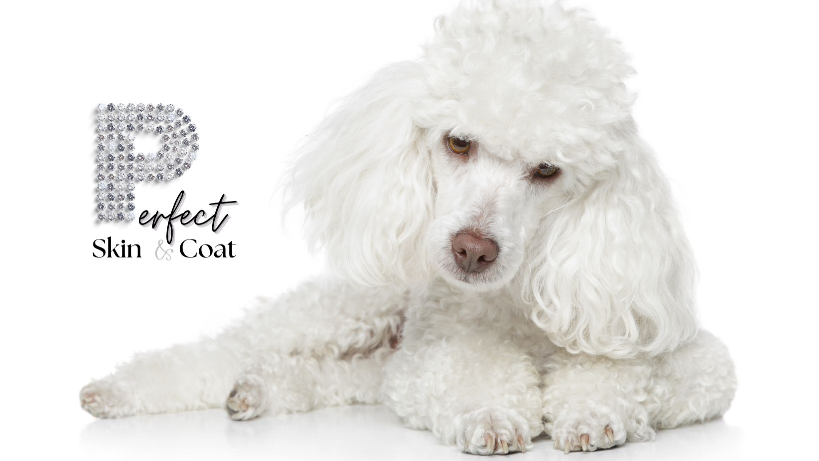 S Facebook Cover