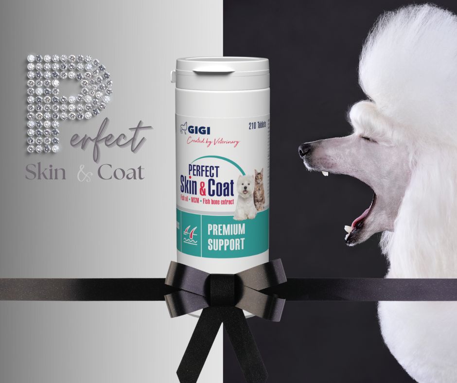 Perfect Skin & Coat