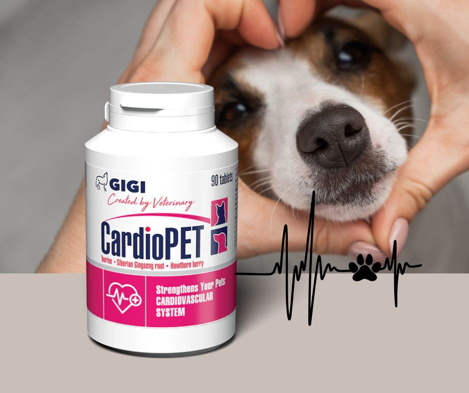 Cardio Pet