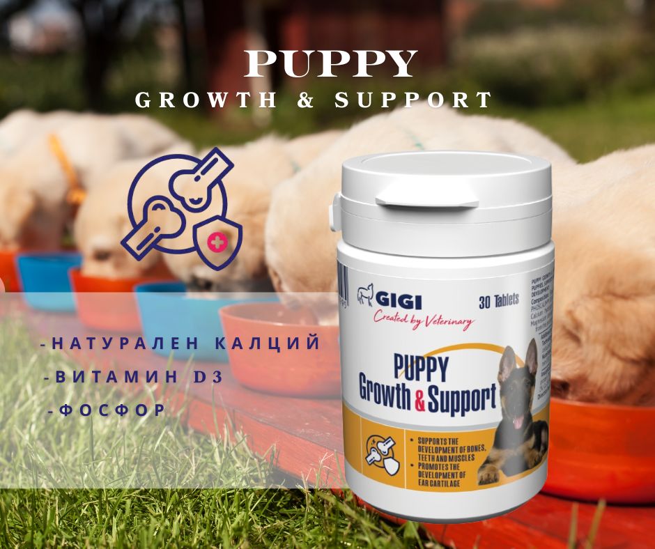 Puppy Growth & Support